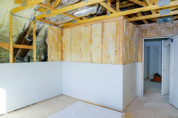Best Commercial Insulation in Fanning Springs, FL