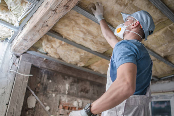 Professional Insulation Contractor in FL